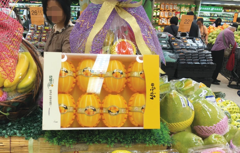 image_5270655451506308237362.png?type=w773