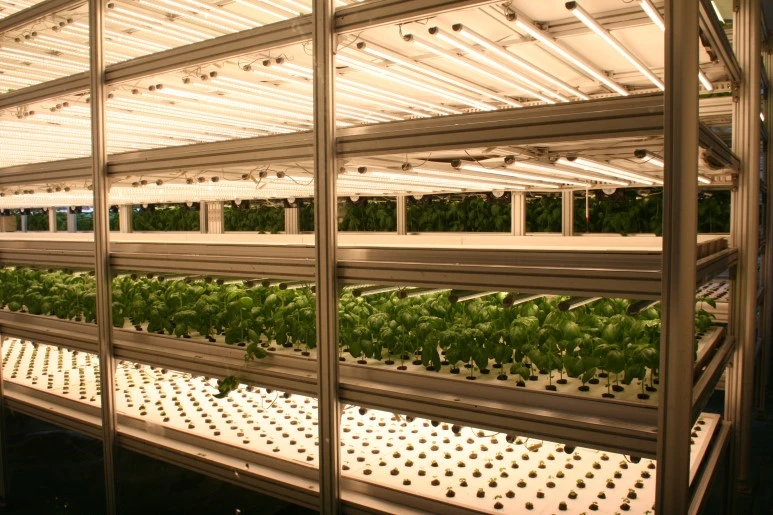 %EB%B0%94%EC%A7%884.JPG?type=w773