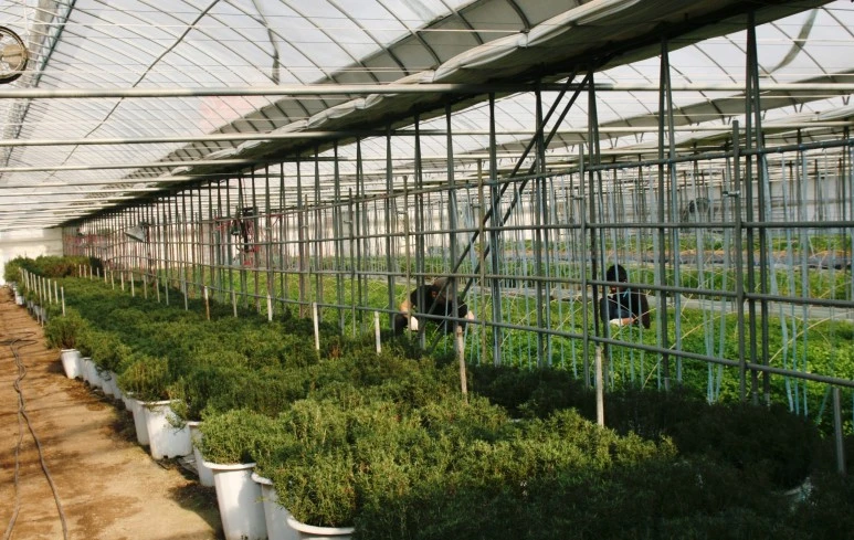 wp_1576878861520311907259.jpg?type=w773