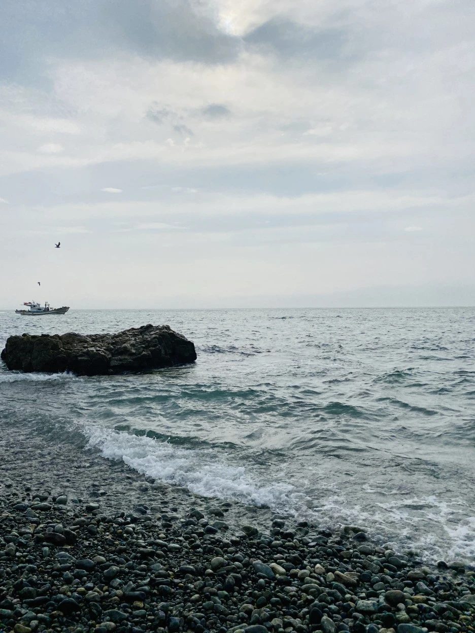 IMG_4641.jpg?type=w1