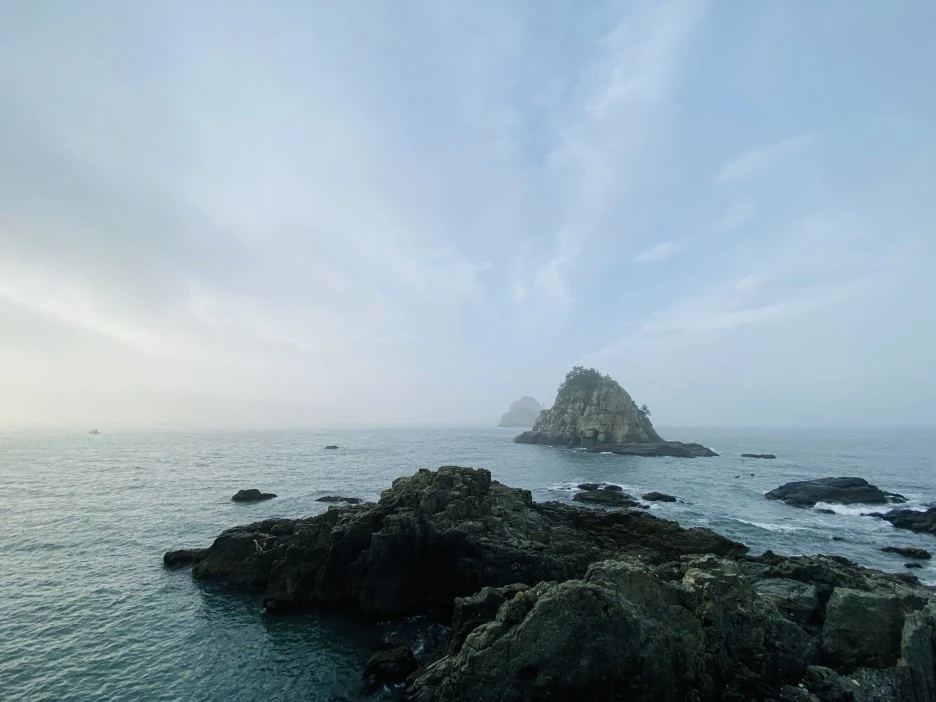 IMG_4604.jpg?type=w1