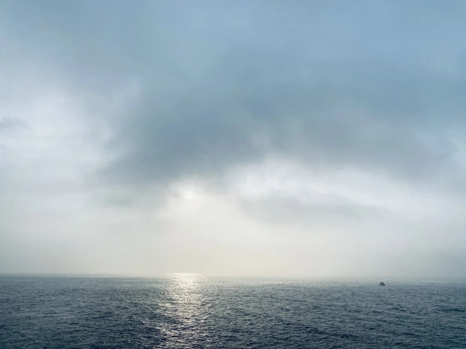 IMG_4602.jpg?type=w1