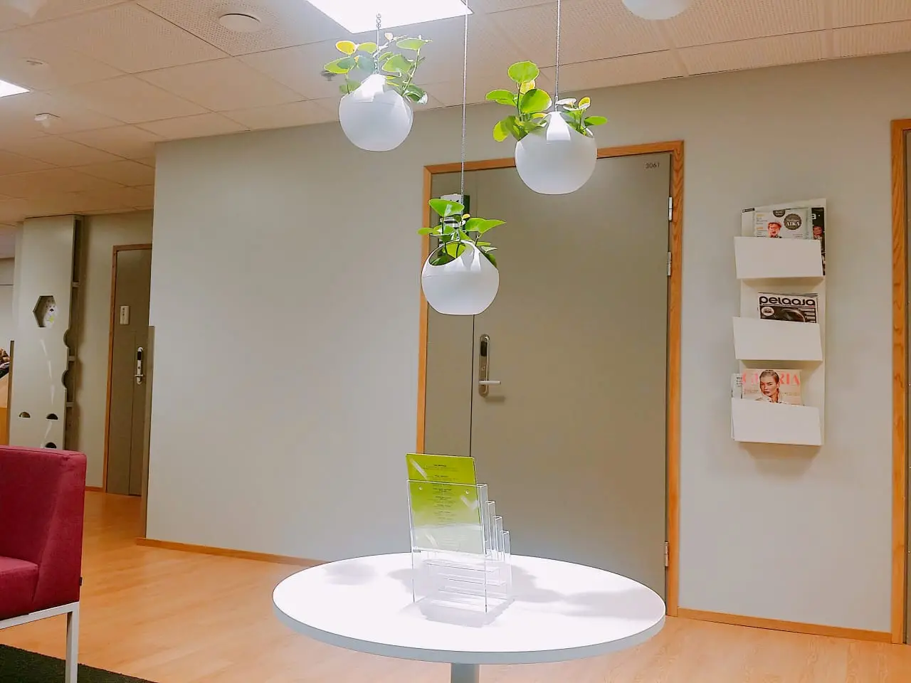 WhatsApp Image 2019-05-07 at 18.29.14.jpeg