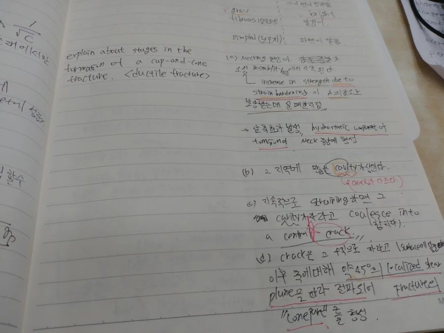 99FF204C5B3B7B3D122832