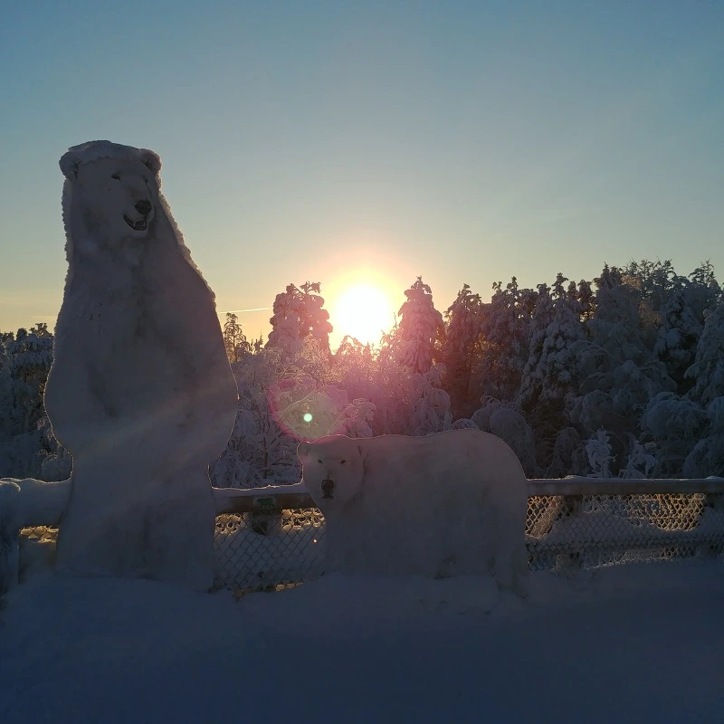 99116B335C5C6BA001E4E8