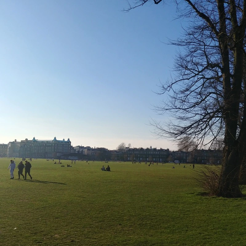 99C838415C72EF7F0A1C14