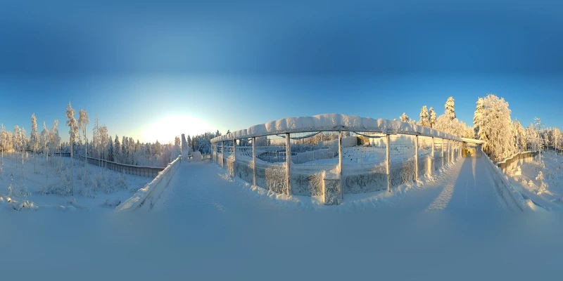 9912EF335C5C6BAF012355