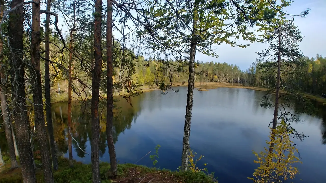 WhatsApp Image 2020-03-06 at 12.10.08.jpeg