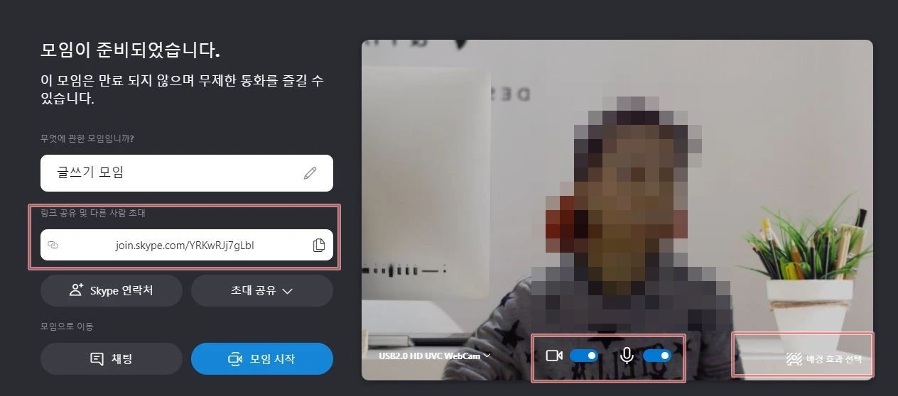 2 스카이프 화상회의.JPG