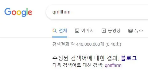 구글 검색결과.JPG