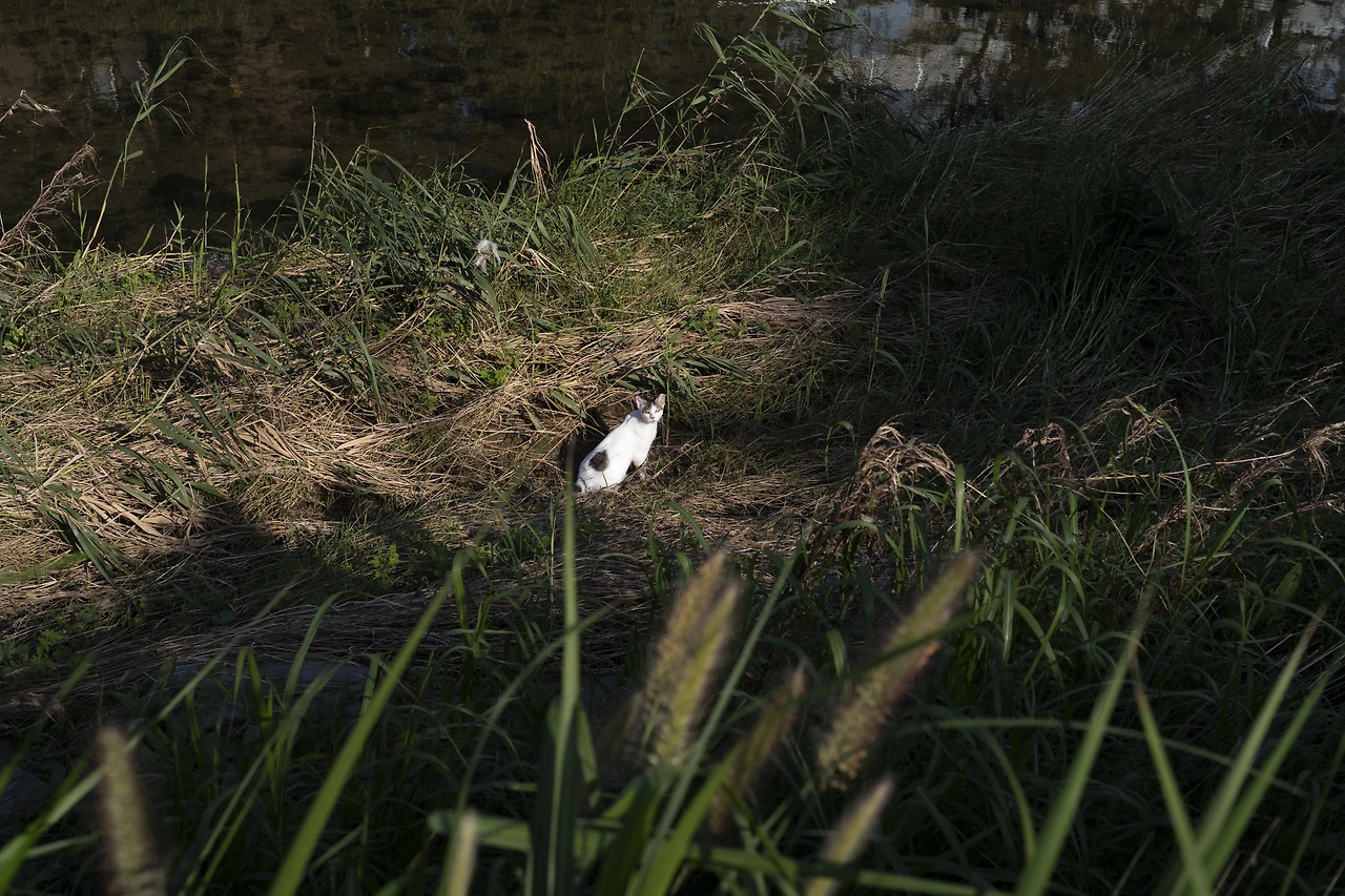 KakaoTalk_Photo_2022-09-18-12-43-08 005.jpeg