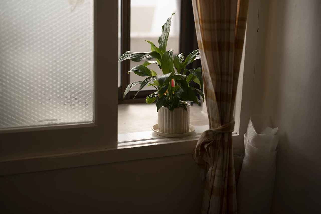 KakaoTalk_Photo_2022-09-18-12-44-44 005.jpeg