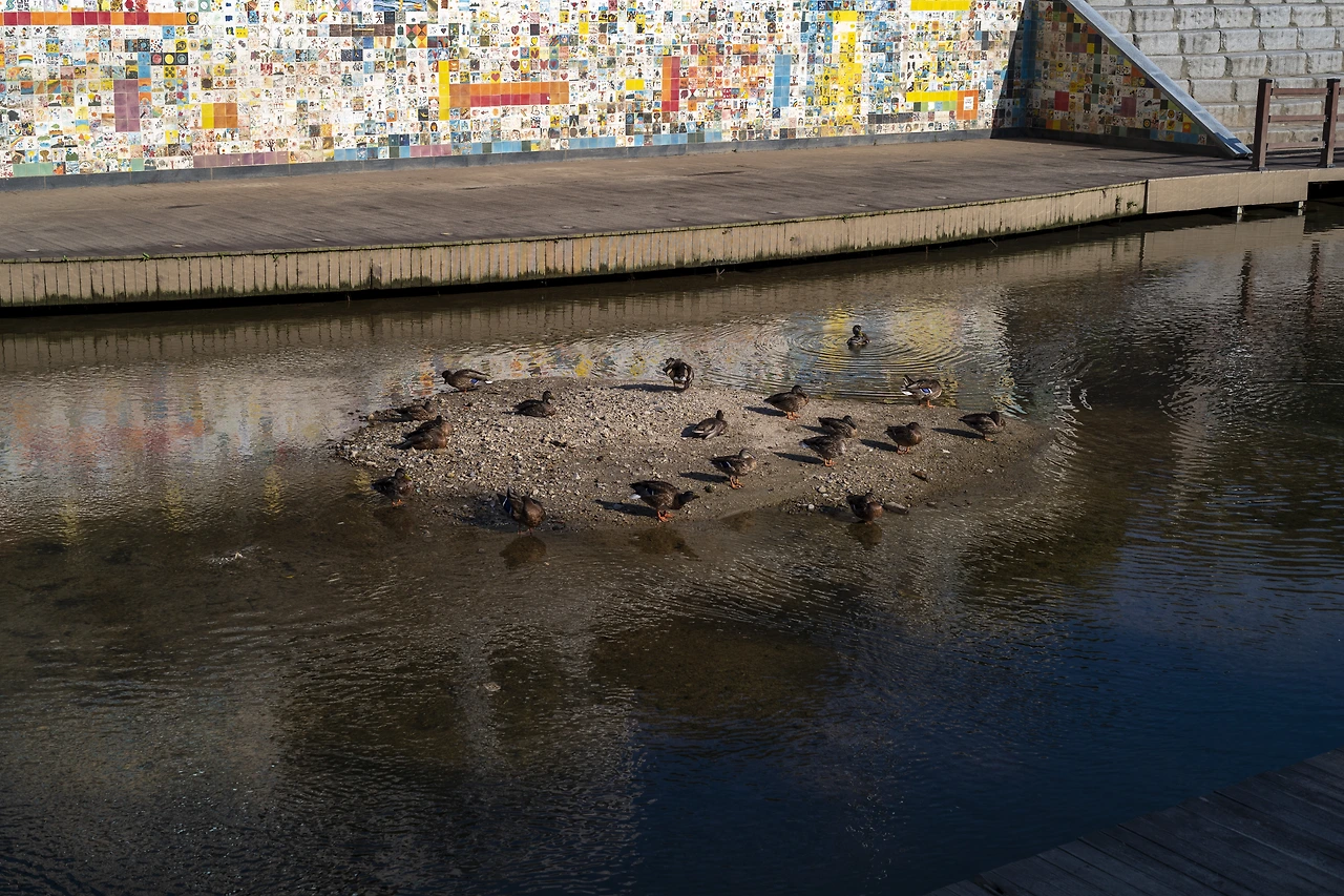 KakaoTalk_Photo_2022-09-18-12-43-09 006.jpeg