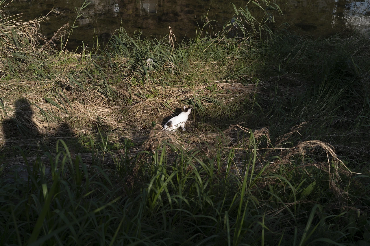 KakaoTalk_Photo_2022-09-18-12-43-07 004.jpeg