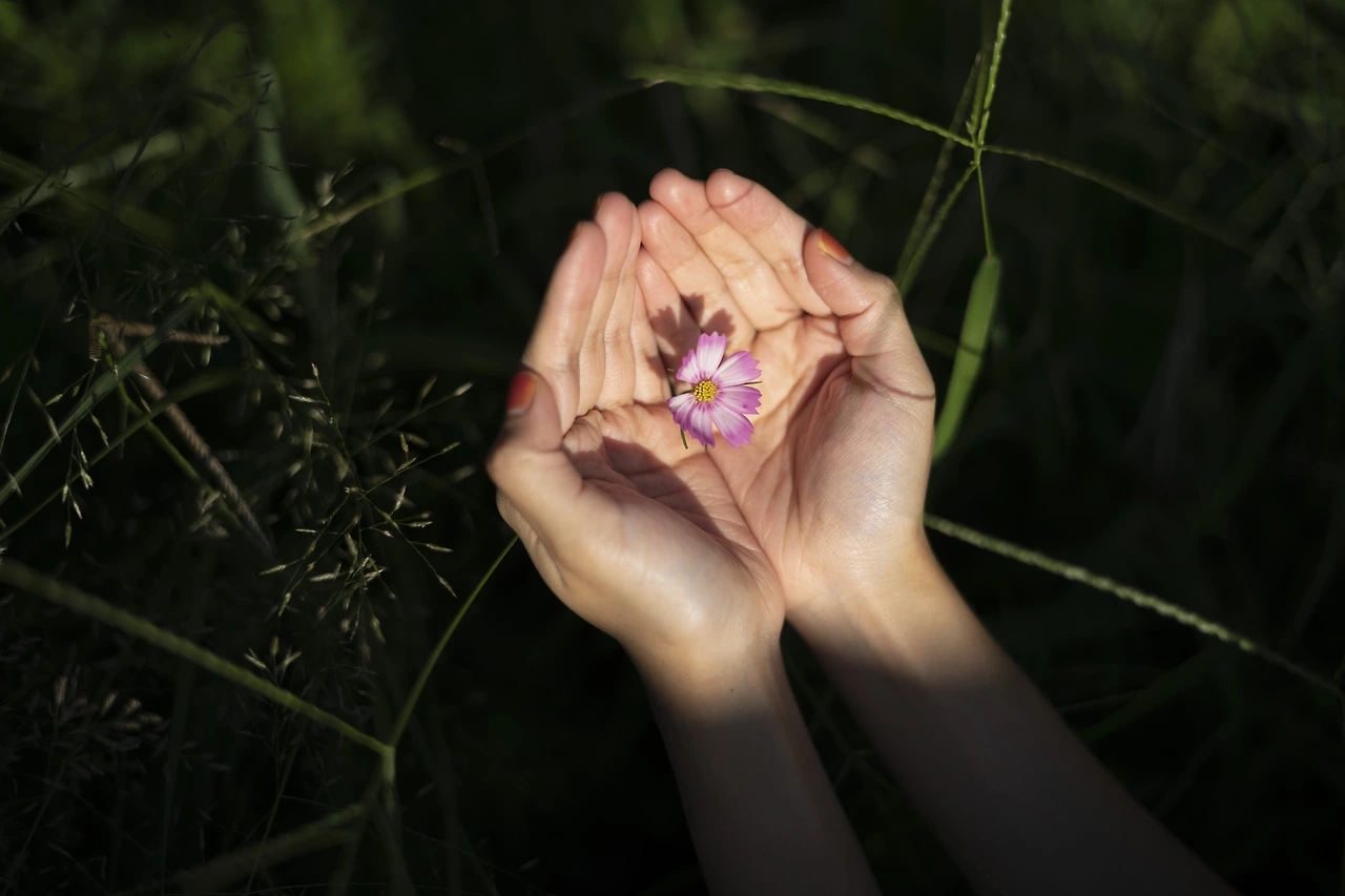 KakaoTalk_Photo_2022-09-18-12-43-12 017.jpeg