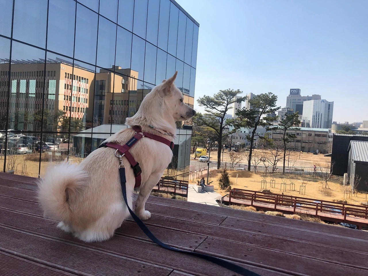 A8C4C86D-9E55-4C59-9497-F2D04CA1B1B7 - 최연수.jpeg