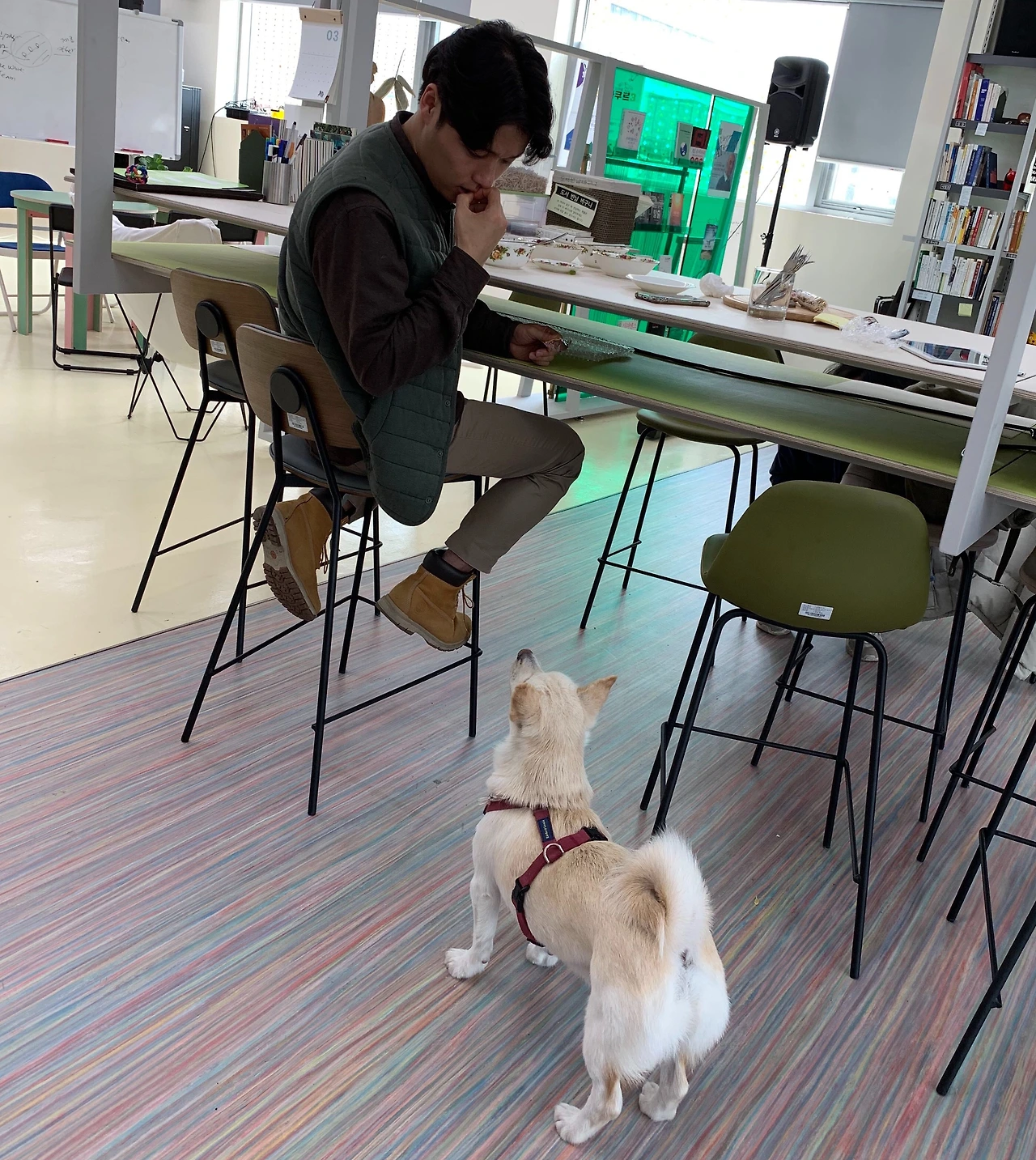 5E8F8DD9-F04E-4E1D-A31F-10F00383D822 - 최연수.jpeg