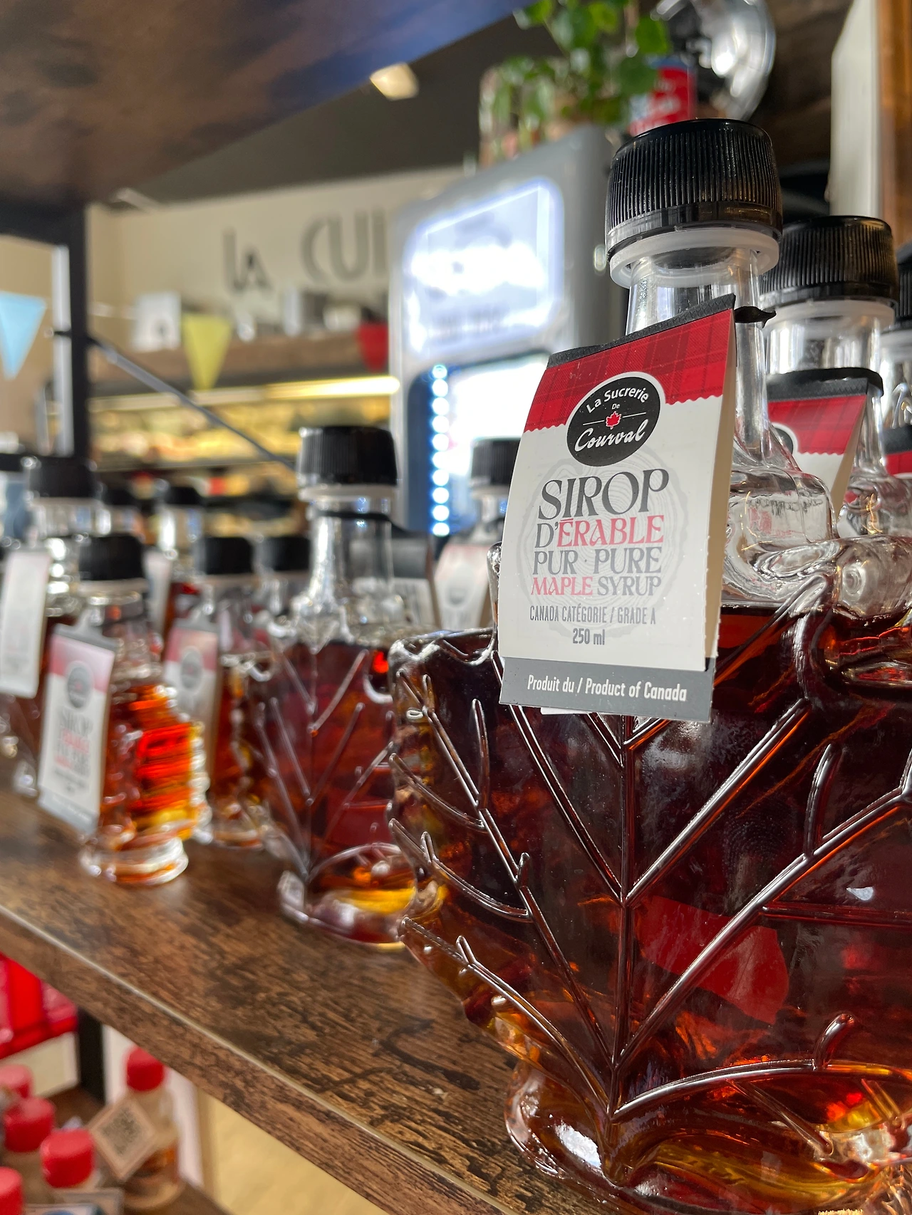 퀘벡 1.JPG