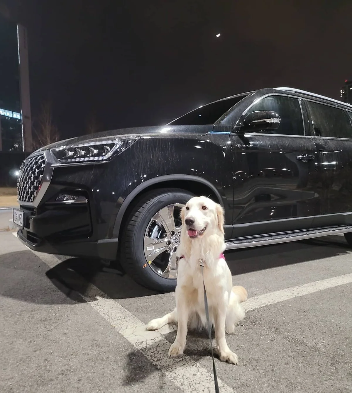 KakaoTalk_20210324_152642410_02.jpg?type=w1200