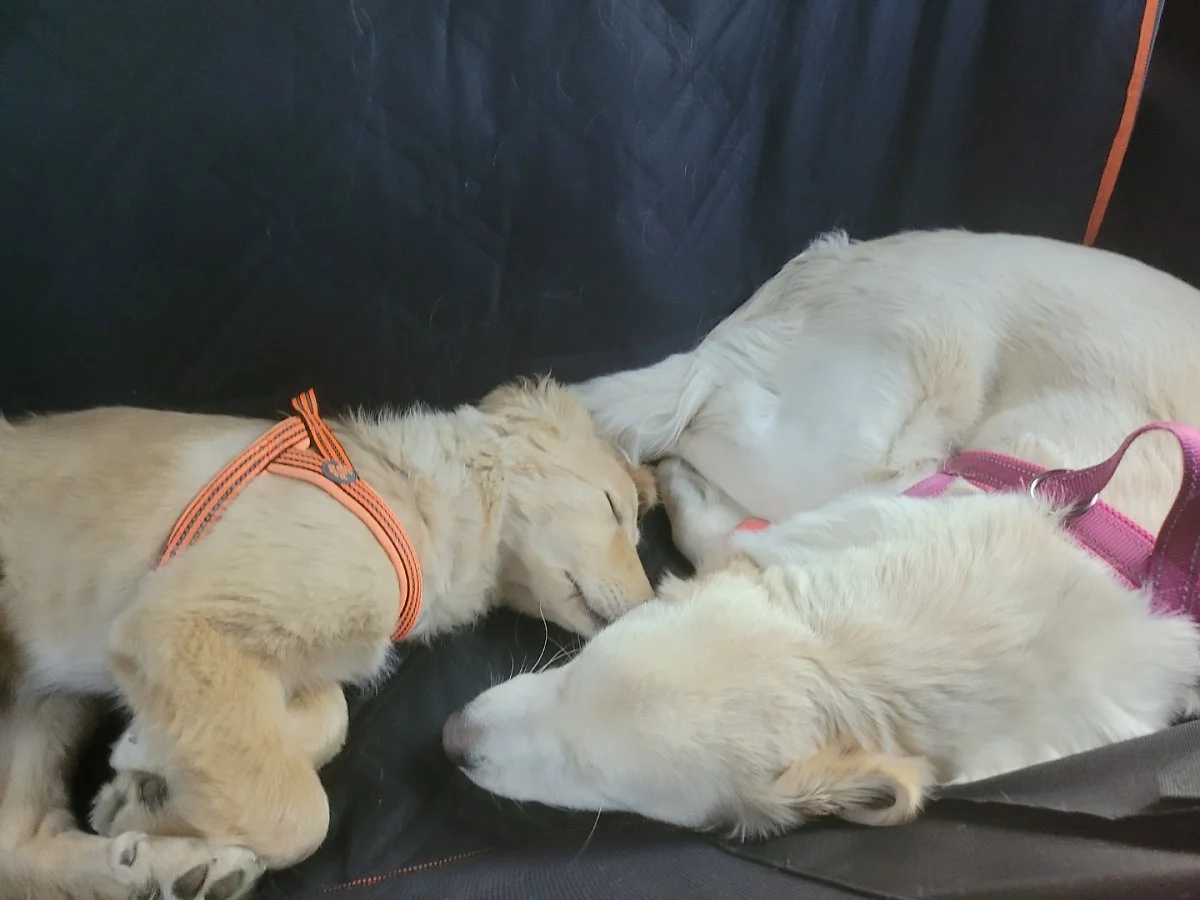 KakaoTalk_20210324_153011250.jpg?type=w1200