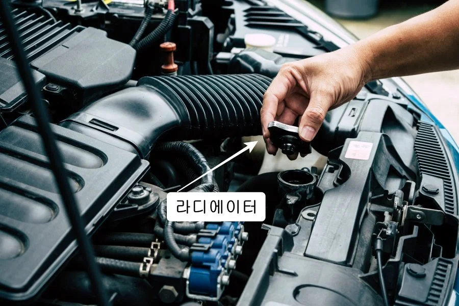 %EC%82%AC%EB%B3%B8_-shutterstock_1091624147_%EB%9D%BC%EB%94%94%EC%97%90%EC%9D%B4%ED%84%B0_%ED%8A%B8%EB%A6%AC%EB%B0%8D.jpg?type=w1200