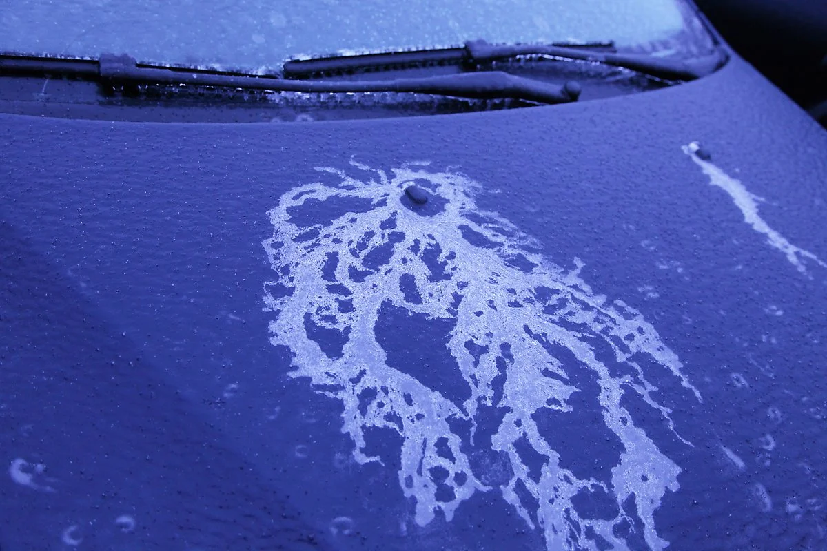 shutterstock_1887138040.jpg?type=w1200