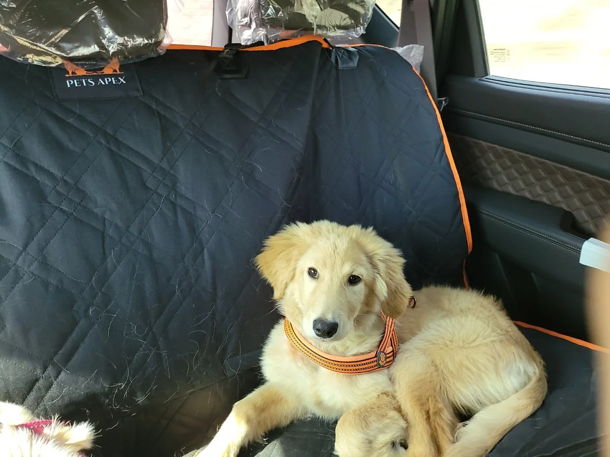 KakaoTalk_20210324_153011250_01.jpg?type=w1200