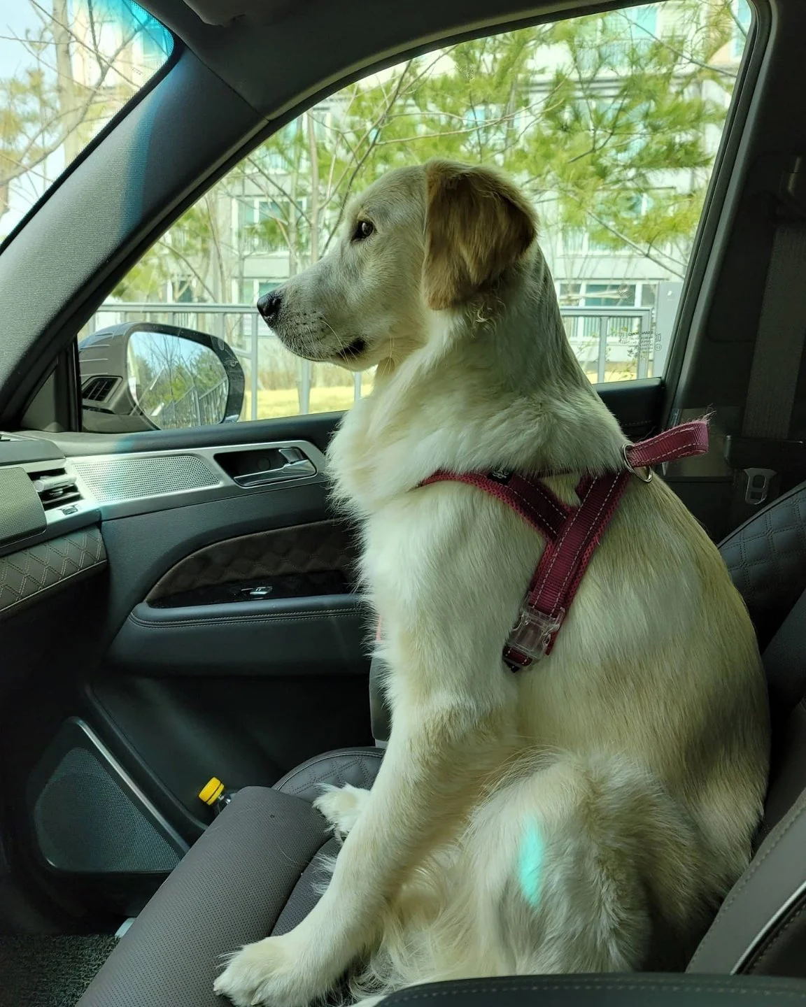 KakaoTalk_20210324_152414473.jpg?type=w1200