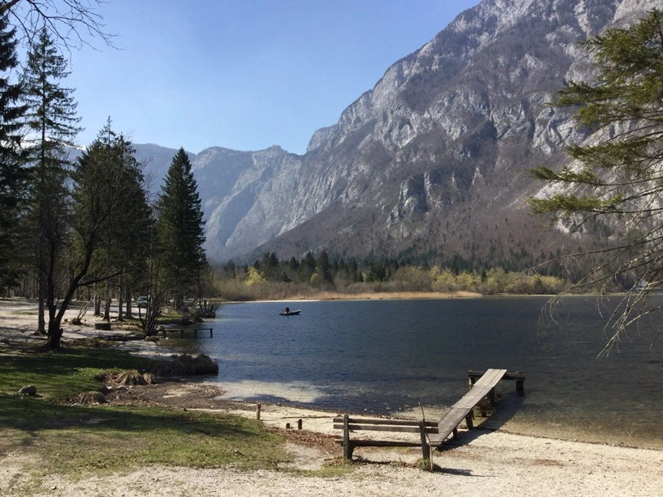 P20150411_221522214_927CDB3C-D60A-4886-9B92-729BF3B1A5E6 (1).JPG