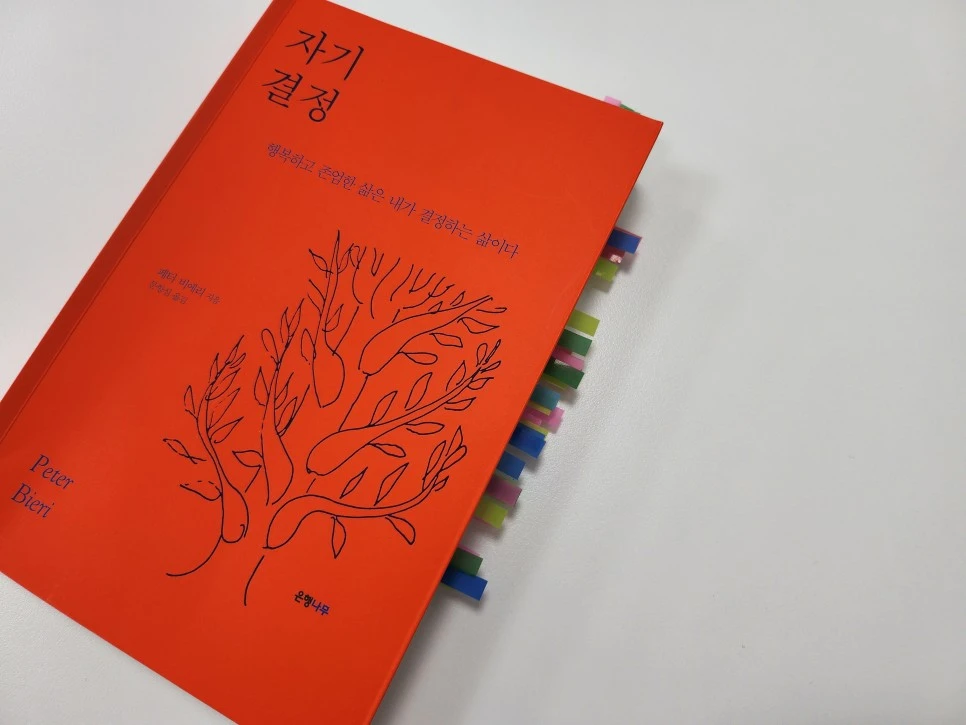 KakaoTalk_20221228_142731480.jpg?type=w966