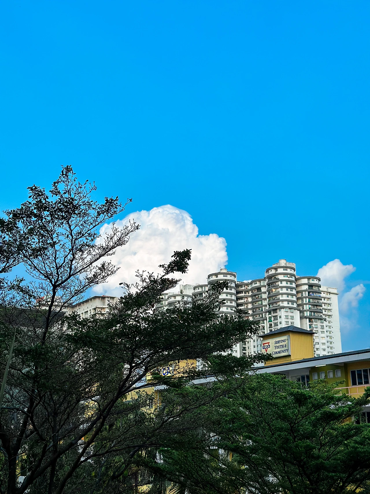 KakaoTalk_Photo_2025-04-08-22-02-20 017.jpeg