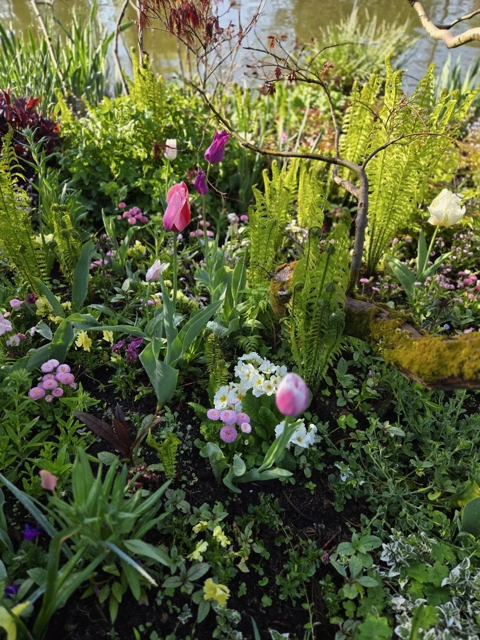 7_82gUd018svc11tlk3tr3rep6_bxeu2s.jpg?type=e1920_std