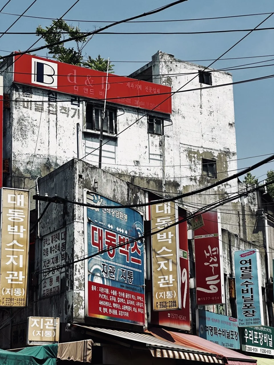 6_179Ud018svc1xhew626r85pz_bxeu2s.jpg?type=e1920_std