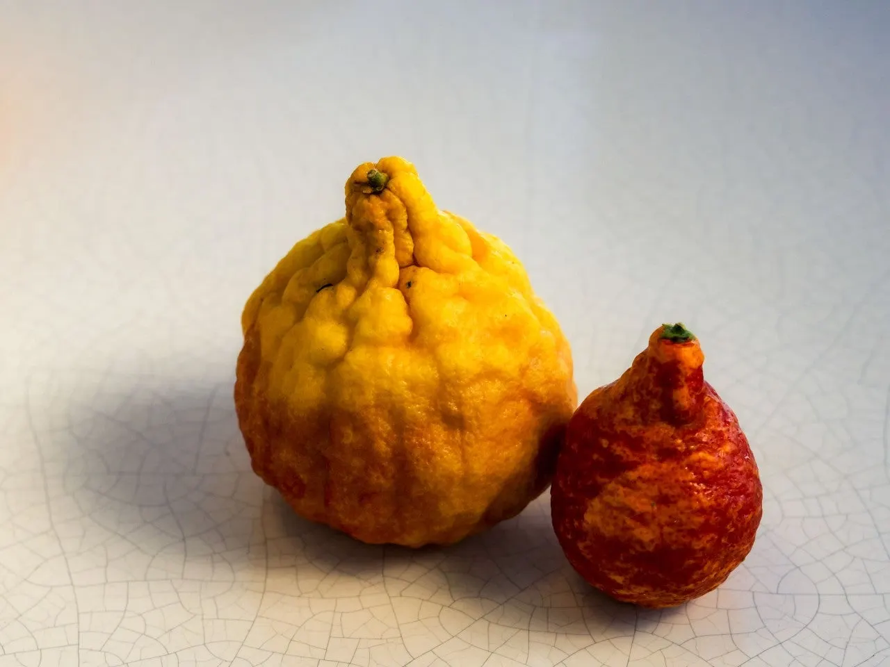 j_b61Ud018svc1jhp7ujj68l9i_bxeu2s.jpg?type=e1920_std