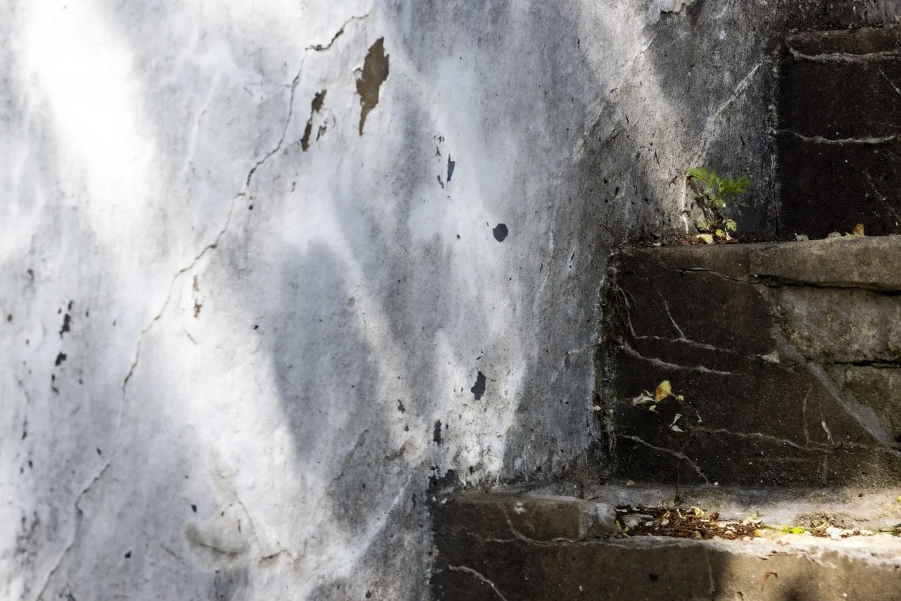 h_178Ud018svcset4wjl1zqjs_bxeu2s.jpg?type=e1920_std