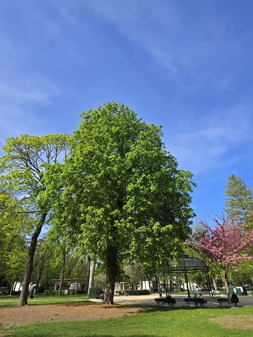 i_2j1Ud018svcpjpf0j88irtm_bxeu2s.jpeg?type=e1920_std