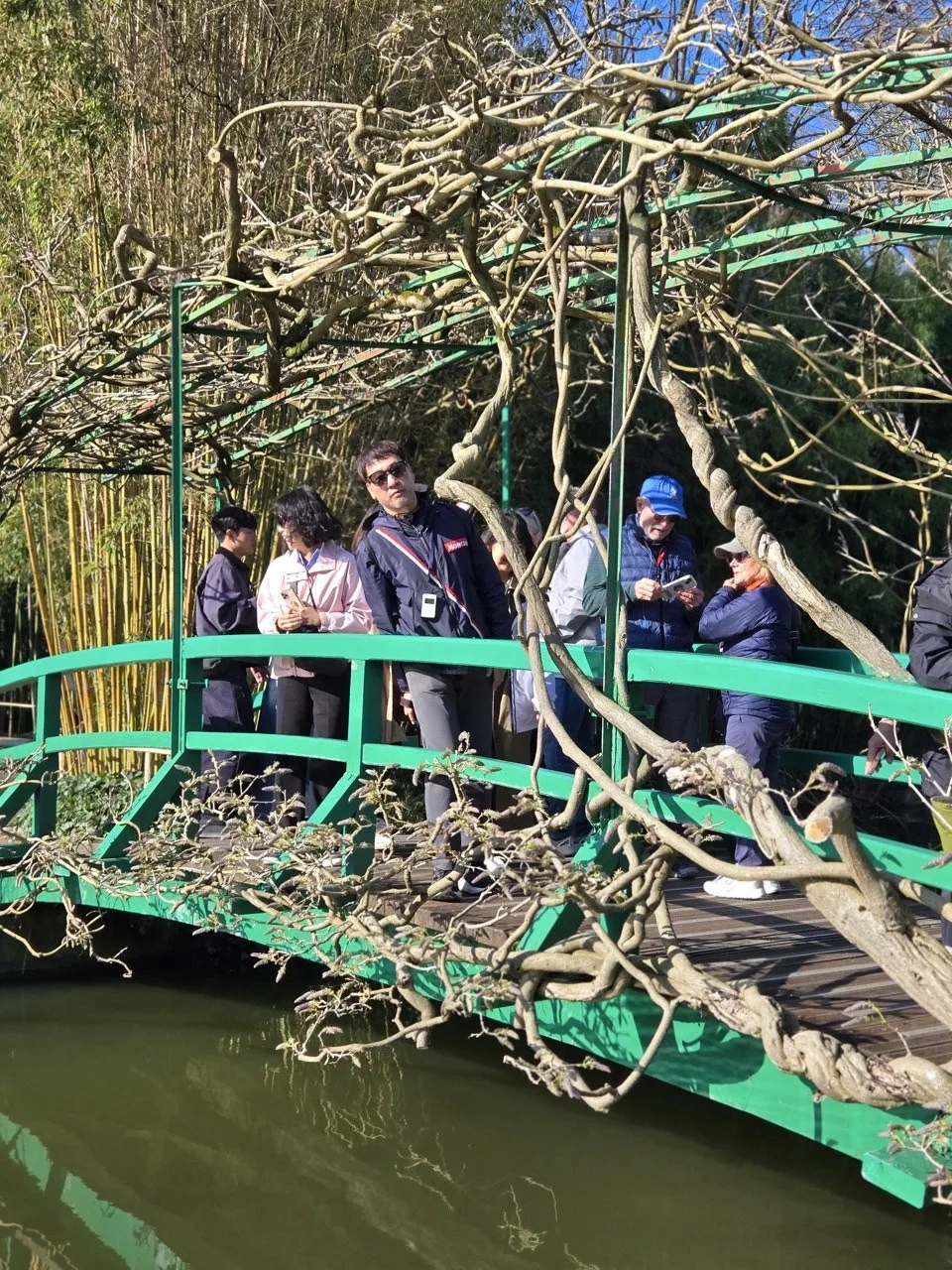 7_a2gUd018svc39g4093lj2bf_bxeu2s.jpg?type=e1920_std