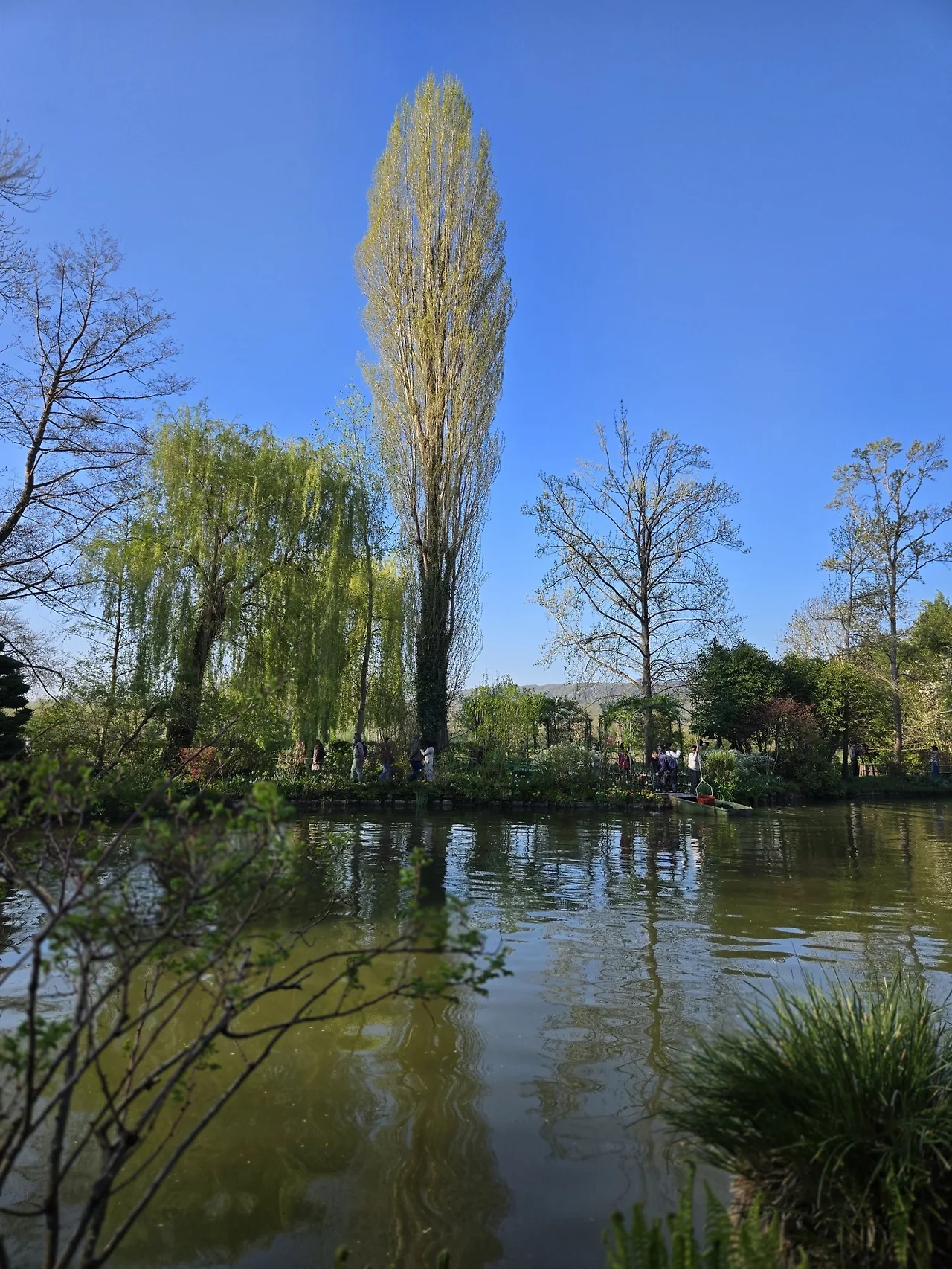 7_82gUd018svcg3py0lo7o5bn_bxeu2s.jpg?type=e1920_std