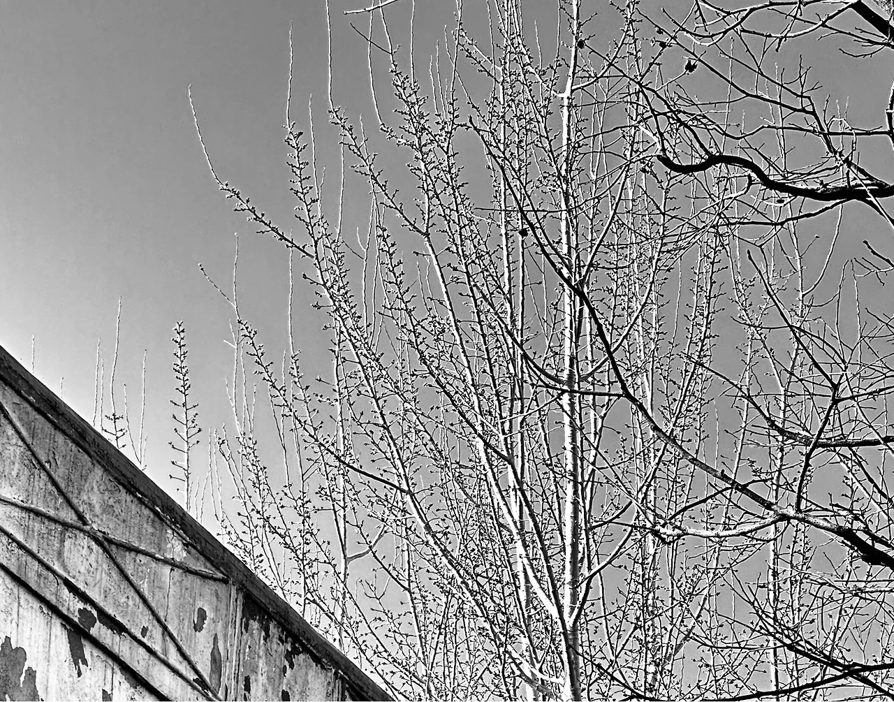 e_a0bUd018svc1qu0tadv0sxr_bxeu2s.jpg?type=e1920_std