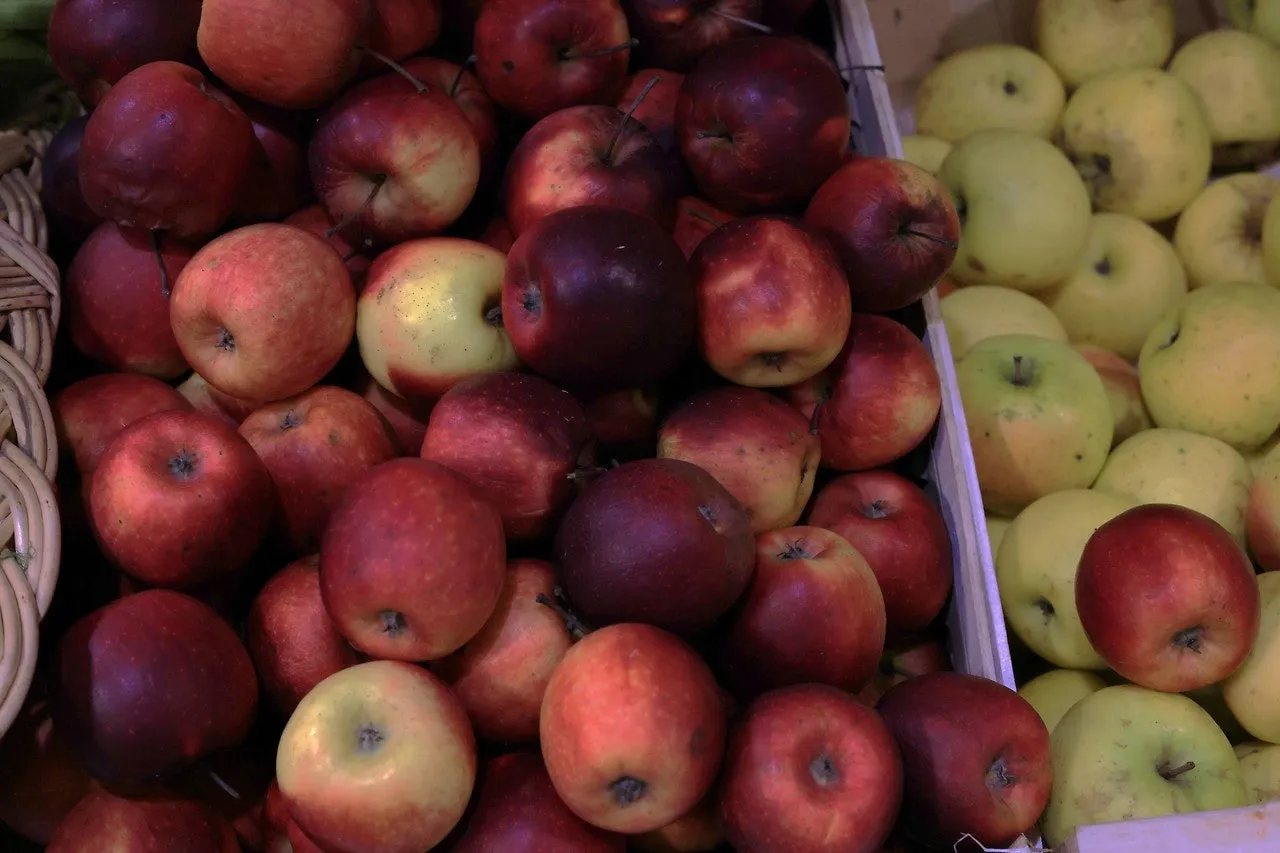 0_9gbUd018svcpjukij2v8qym_bxeu2s.jpeg?type=e1920_std