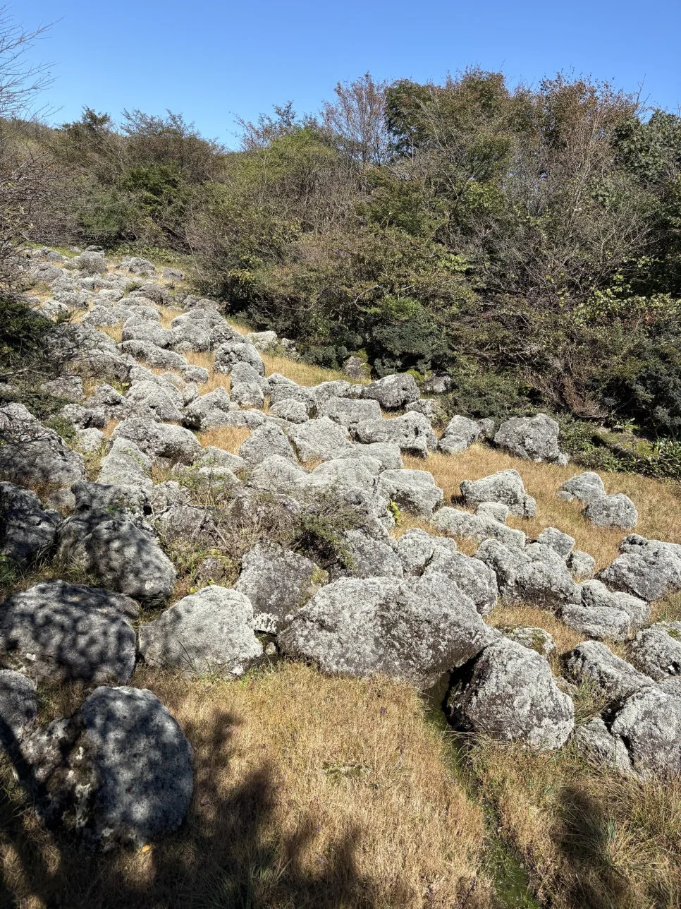 %ED%95%9C%EB%9D%BC%EC%82%B01100%EA%B3%A0%EC%A7%80%EC%8A%B5%EC%A7%802.JPG?type=w966