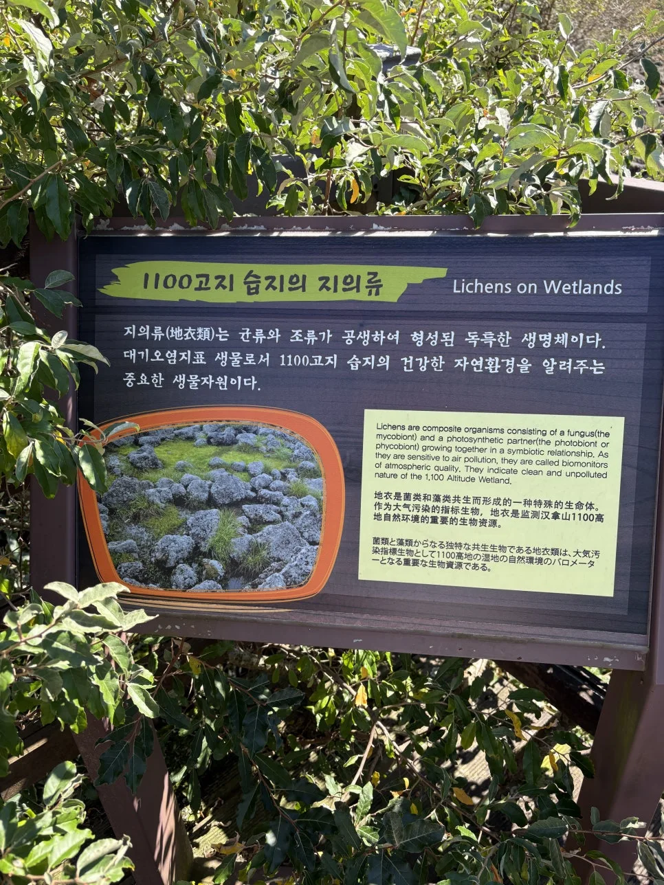 %ED%95%9C%EB%9D%BC%EC%82%B01100%EA%B3%A0%EC%A7%80%EC%8A%B5%EC%A7%803.JPG?type=w966