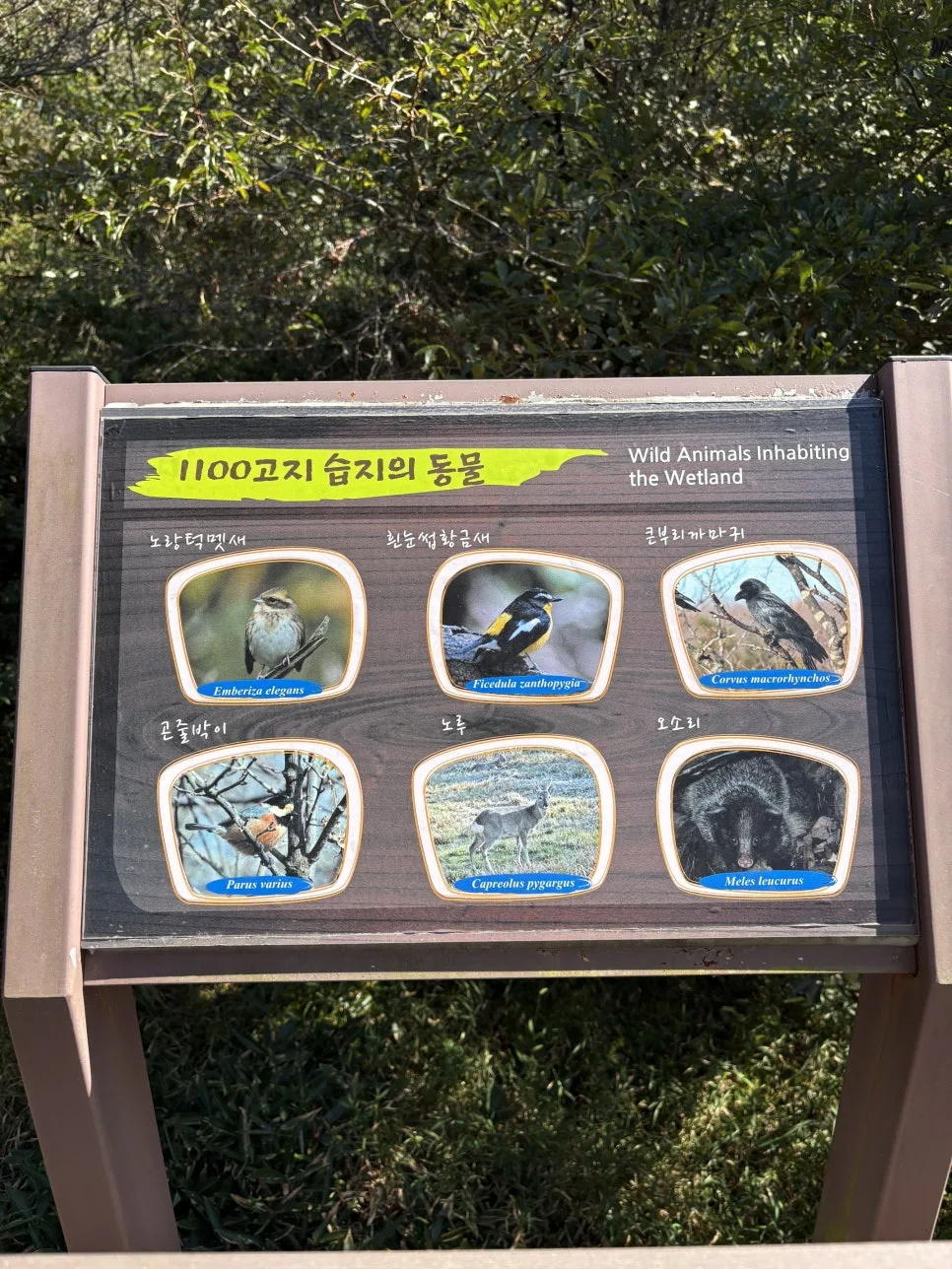 %ED%95%9C%EB%9D%BC%EC%82%B01100%EA%B3%A0%EC%A7%80%EC%8A%B5%EC%A7%804.JPG?type=w966