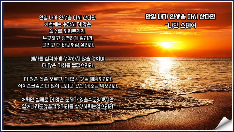 206%ED%9A%8C_%EB%B6%80%EC%82%B0%ED%81%B0%EC%86%94%EB%82%98%EB%B9%84_%EB%8F%85%EC%84%9C%EB%AA%A8%EC%9E%84_(3).jpg?type=w966