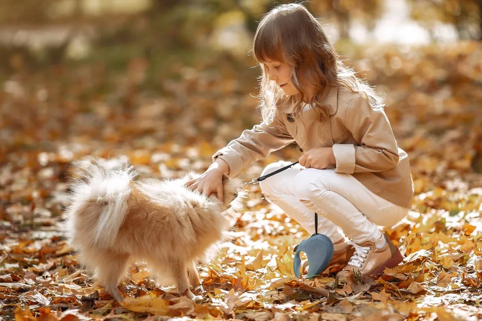 cute-little-girl-walks-autumn-park-with-dog.jpg?type=w966