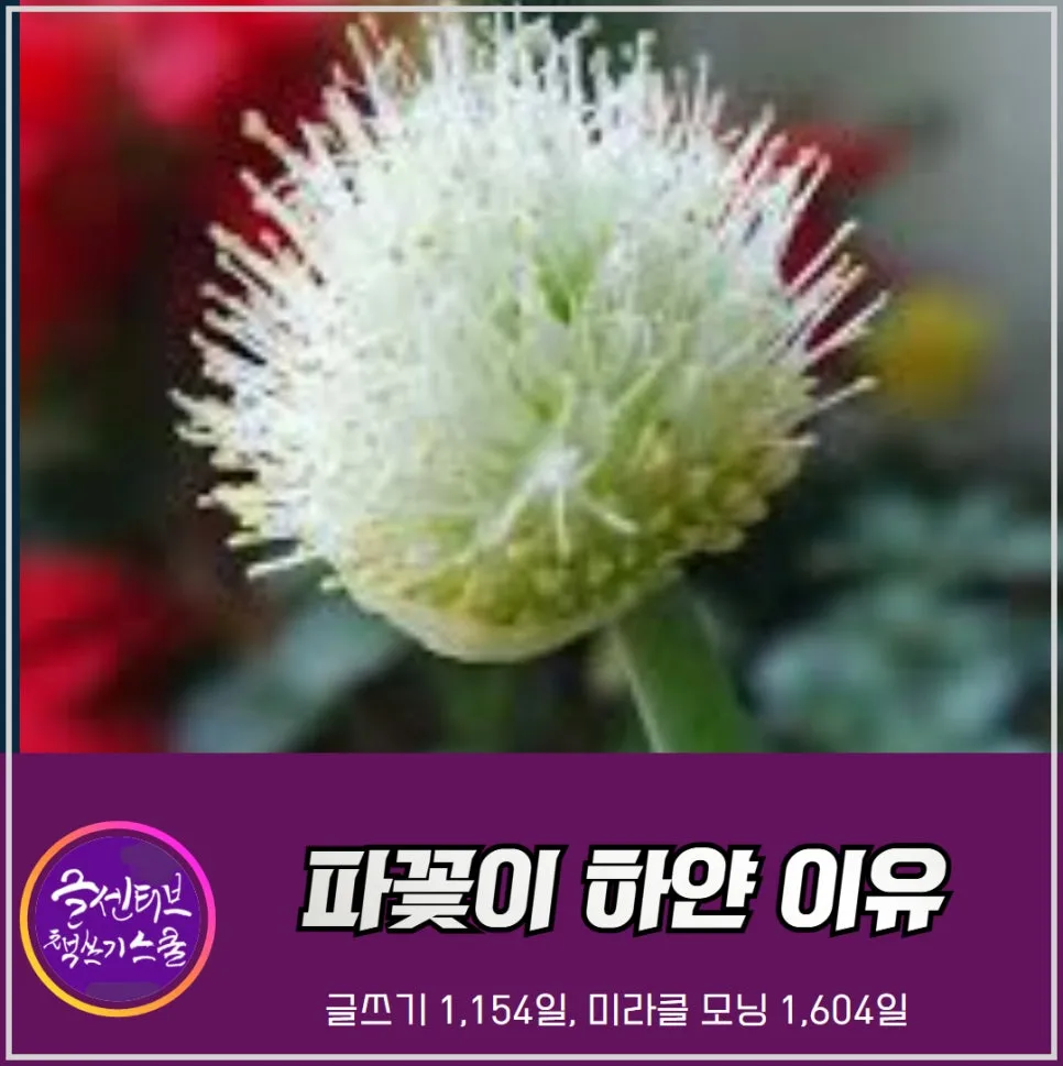 %EC%B6%95%EC%84%B1%ED%83%84_%EB%A9%94%EB%A6%AC%ED%81%AC%EB%A6%AC%EC%8A%A4%EB%A7%88%EC%8A%A4_%EC%B9%9C%EA%B5%AC_%EC%9D%B8%EC%83%9D_%EC%82%B6_(4).jpg?type=w966