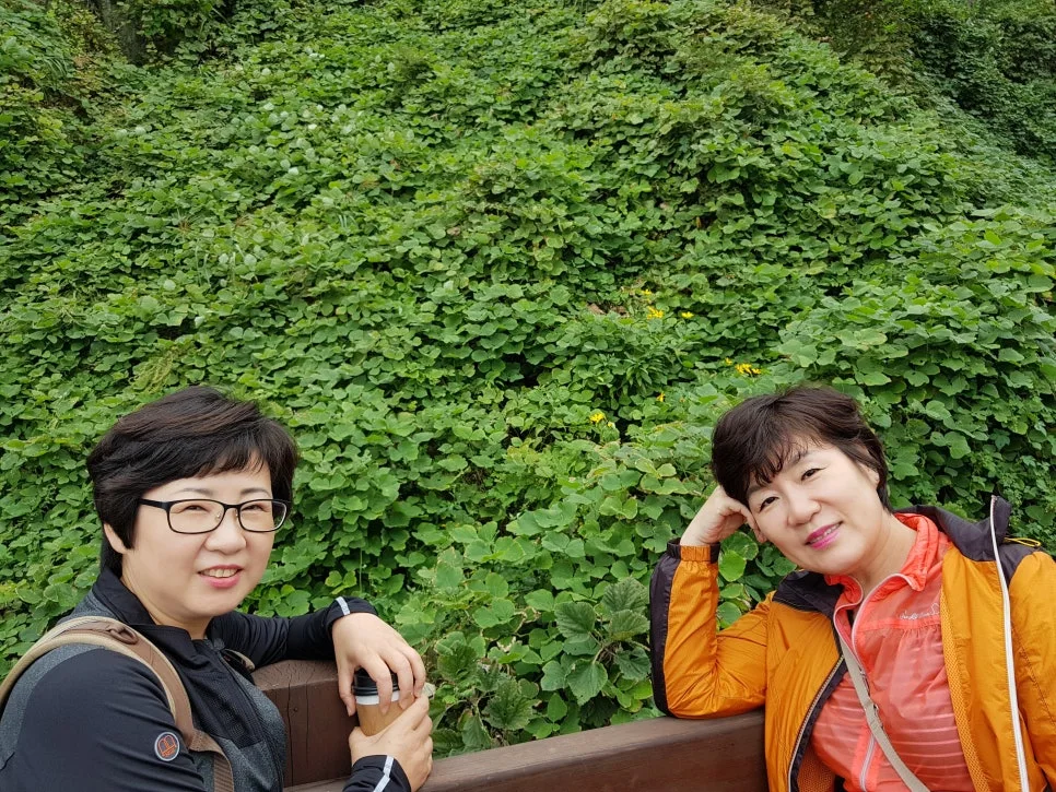 %EB%8B%A5%ED%84%B0%ED%94%BC%ED%84%B0%EC%8A%A8_%EC%86%8C%EB%AA%85_%EC%9D%B4%EC%A7%80%EC%97%B0%EC%9E%91%EA%B0%80.jpg?type=w966