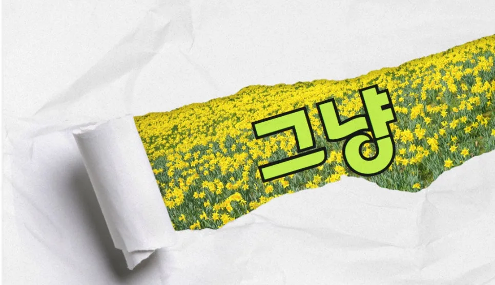 SE-a117e4fb-b9d8-42c2-bf64-016f46f3fe45.jpg?type=w966