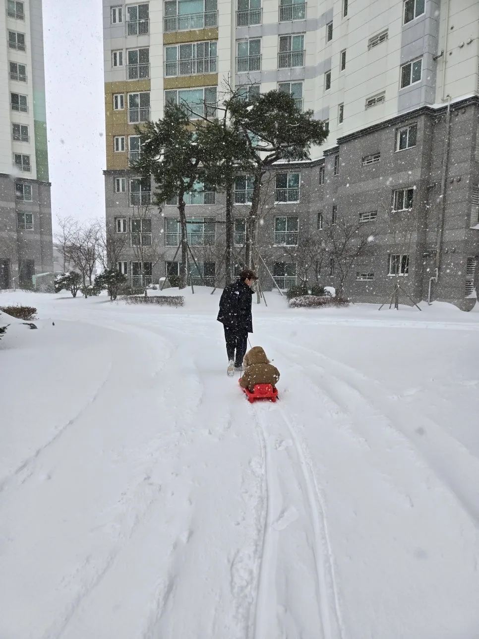 IMG_9998.jpeg?type=w966