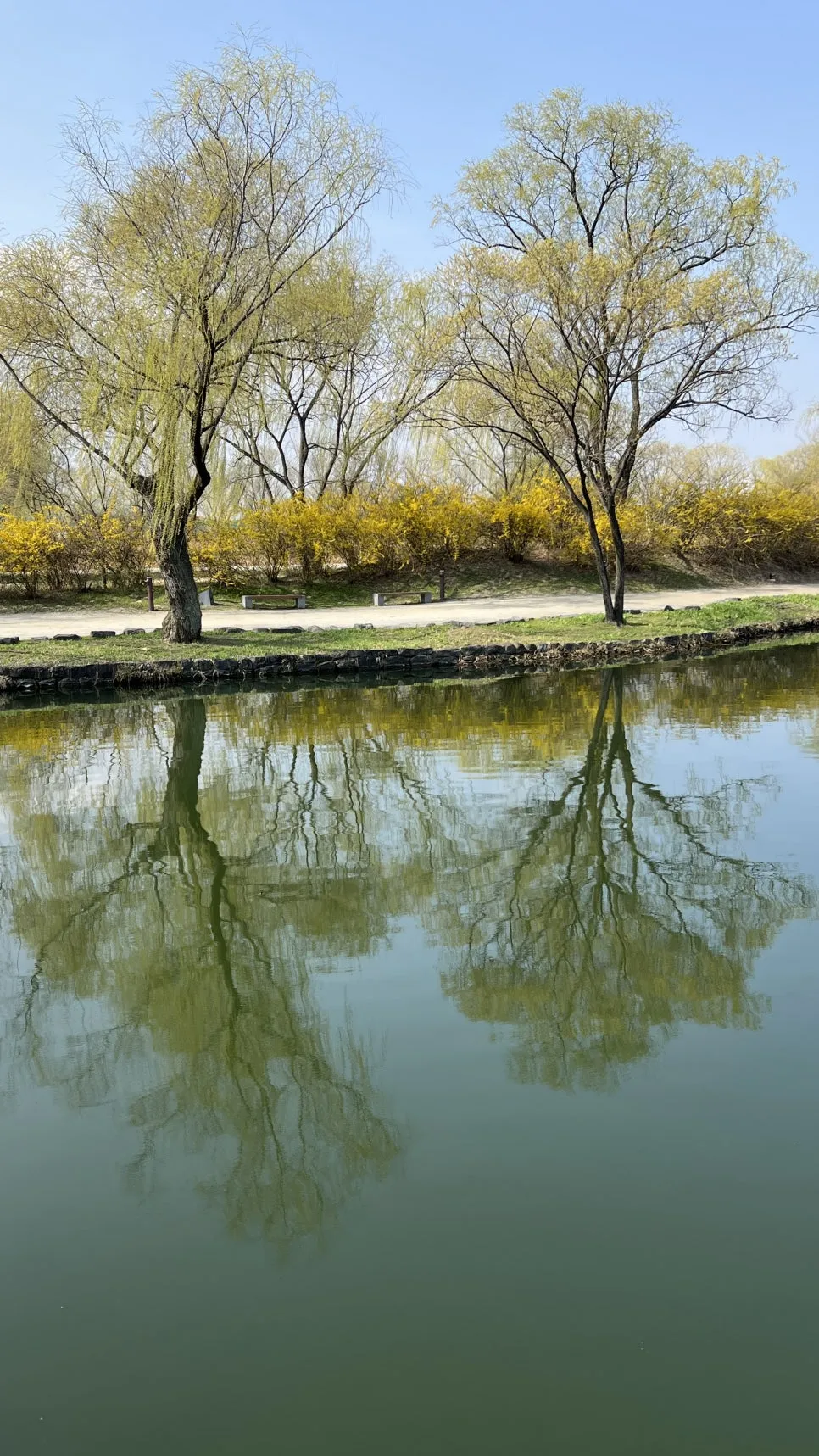 %EA%B8%80%EC%84%BC%ED%8B%B0%EB%B8%8C%EC%B1%85%EC%93%B0%EA%B8%B0%EC%8A%A4%EC%BF%A8%ED%95%84%EC%82%AC.jpg?type=w966